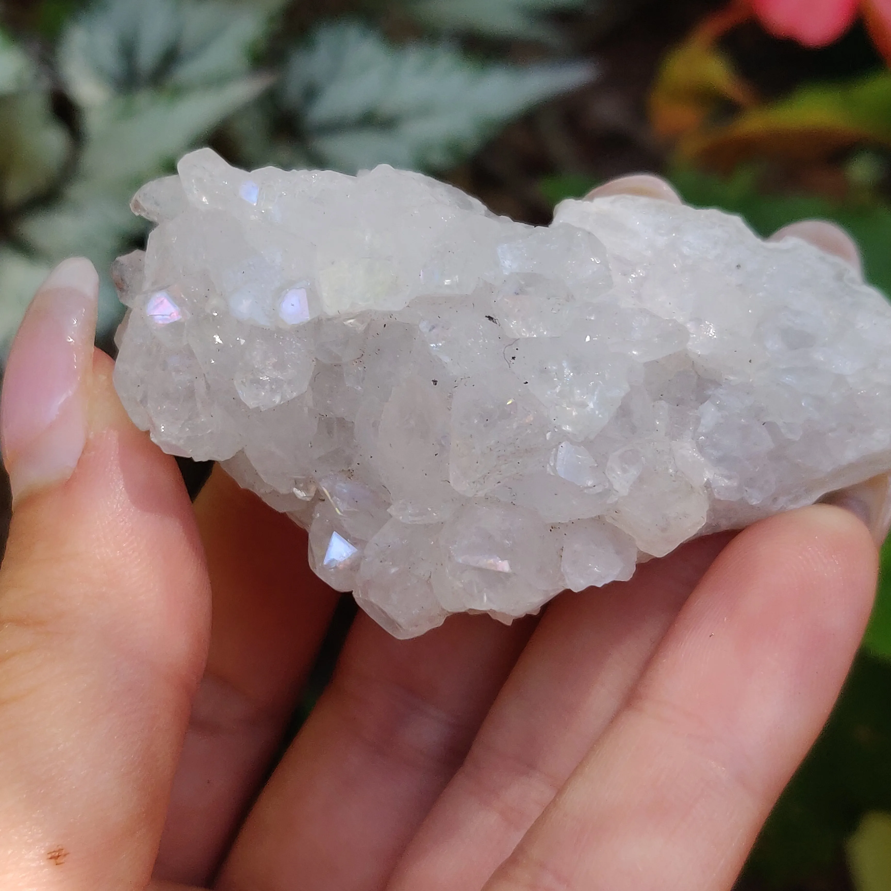 Anandalite Cluster, Natural Aurora Quartz Cluster (#14)