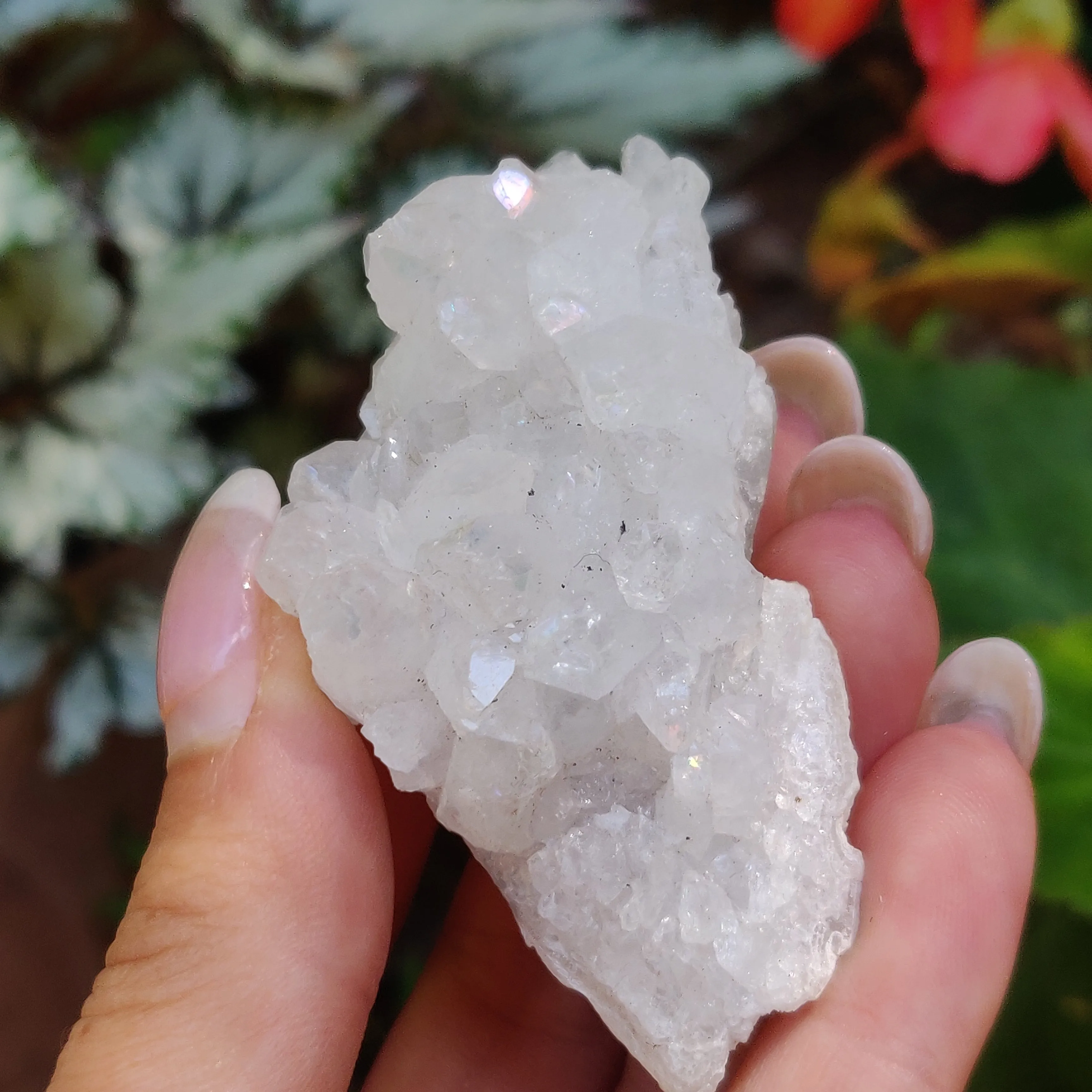 Anandalite Cluster, Natural Aurora Quartz Cluster (#14)