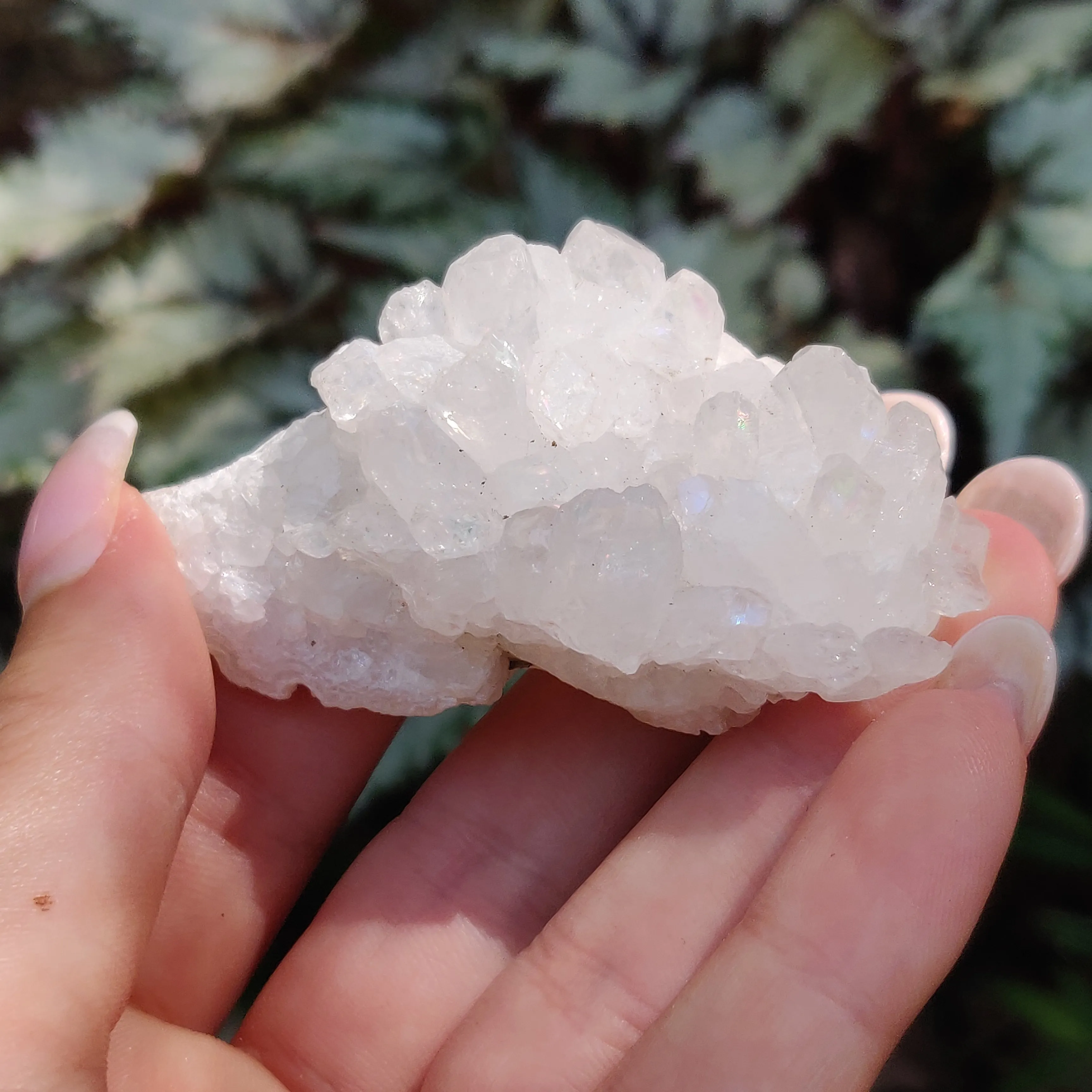 Anandalite Cluster, Natural Aurora Quartz Cluster (#14)