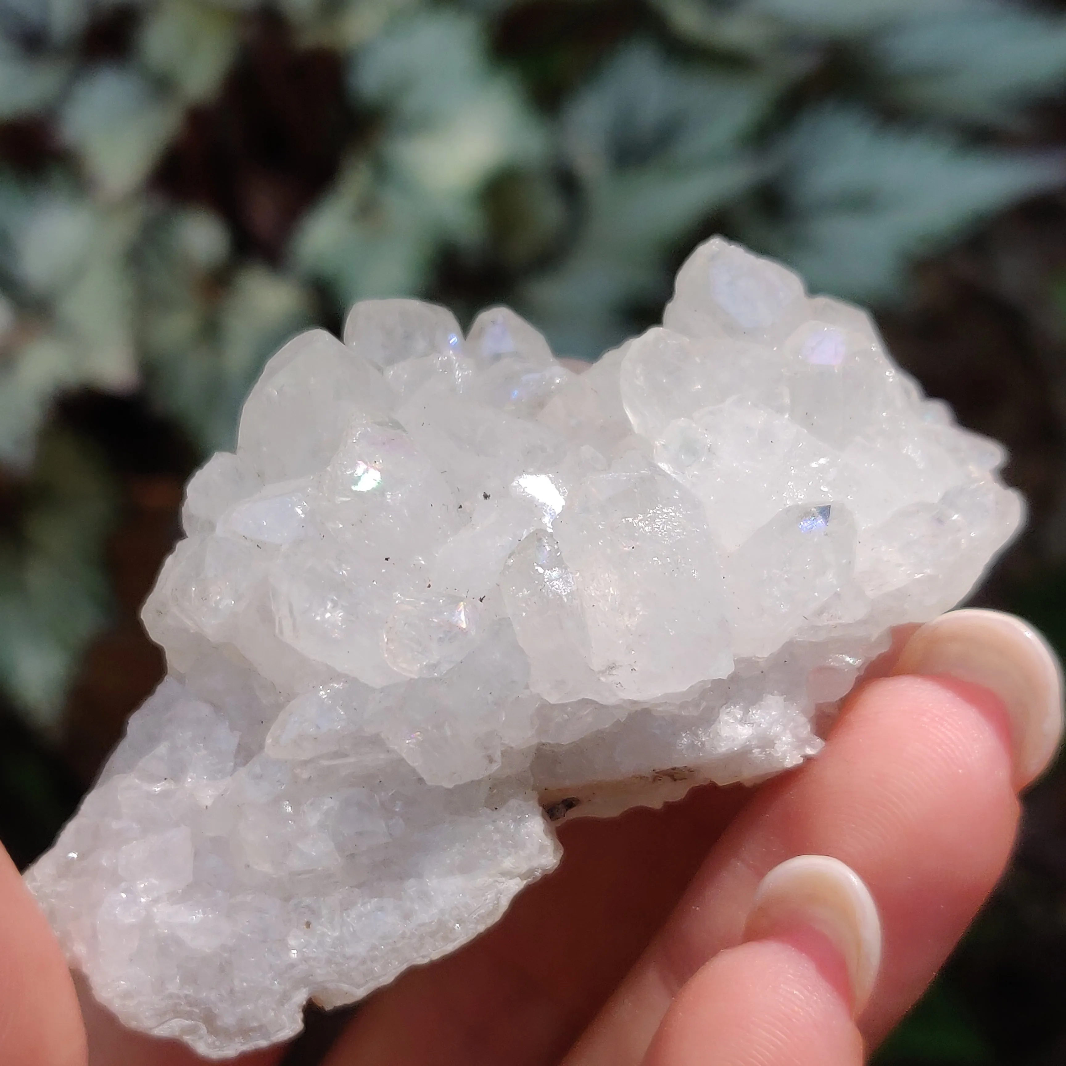 Anandalite Cluster, Natural Aurora Quartz Cluster (#14)