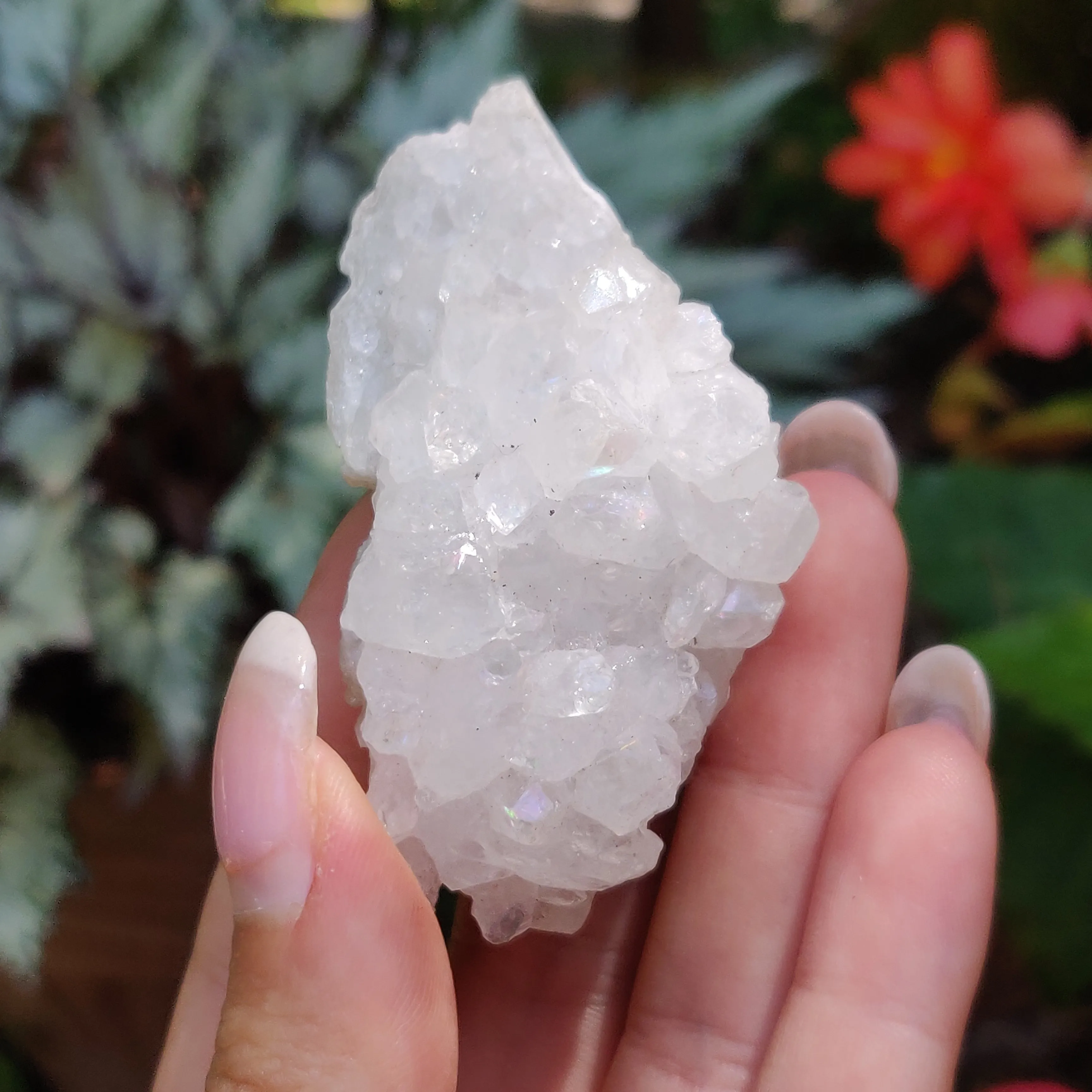 Anandalite Cluster, Natural Aurora Quartz Cluster (#14)