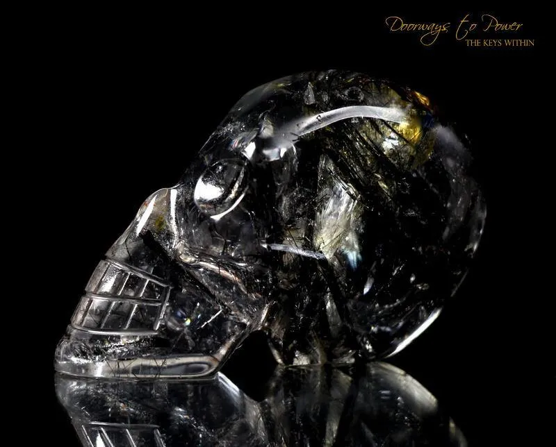 Black Tourmalinated Crystal Skull 'Ancient Code'