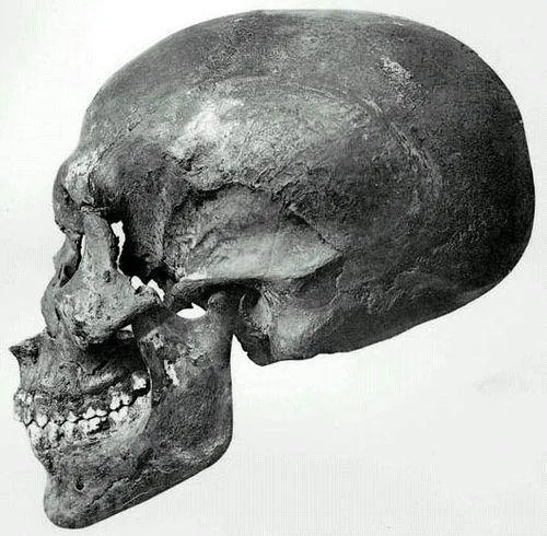 Black Tourmalinated Crystal Skull 'Ancient Code'