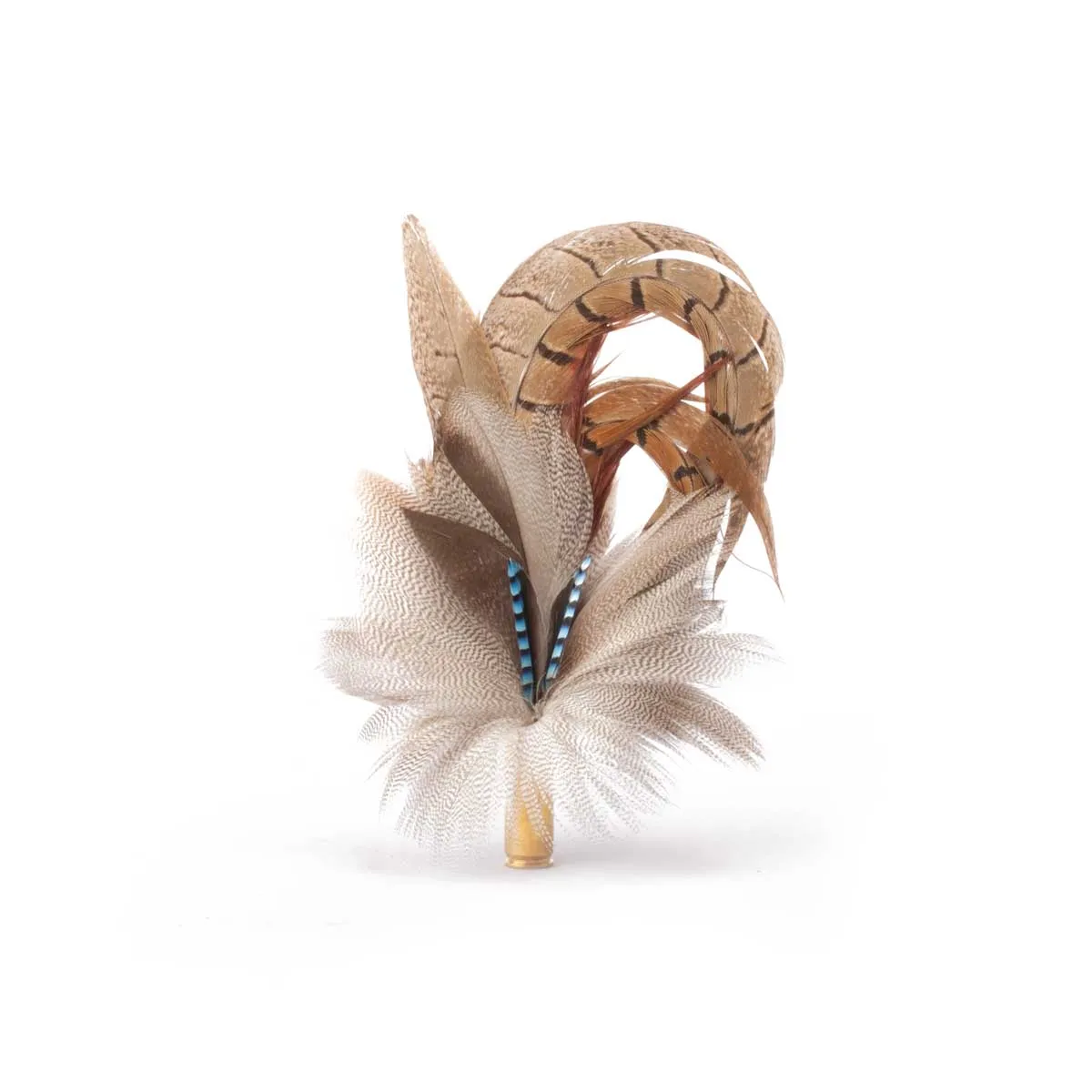 Feather Brooch: Jay & Pheasant Biot (Small)