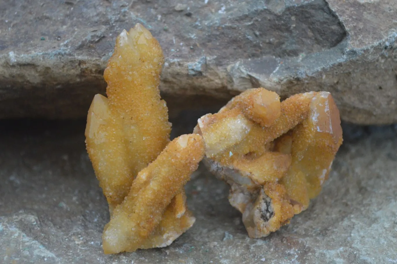 Natural Golden Limonite Solar Spirit Quartz Clusters / Crystals x 35 From Boekenhouthoek, South Africa