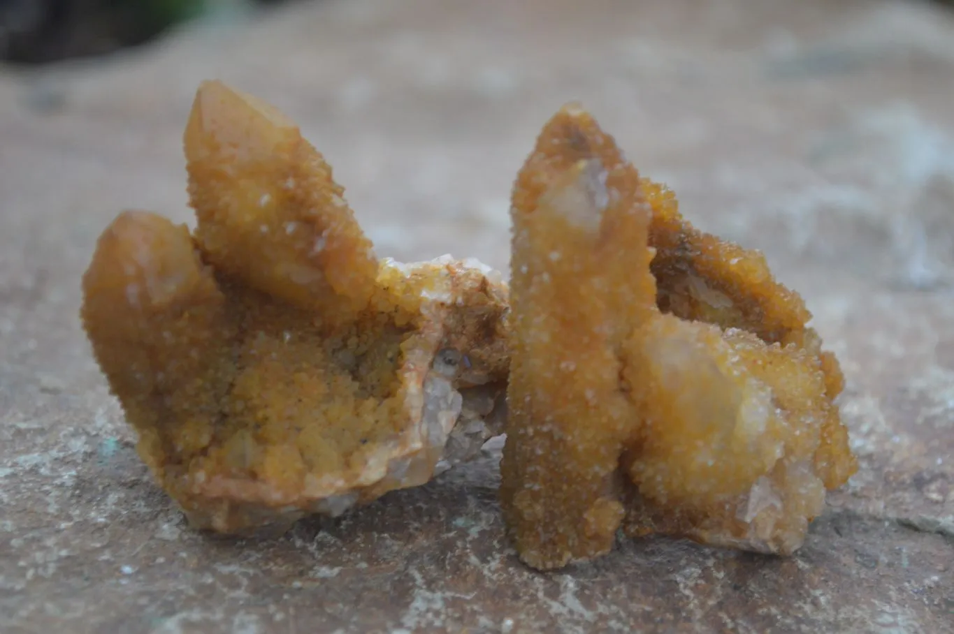 Natural Golden Limonite Solar Spirit Quartz Clusters / Crystals x 35 From Boekenhouthoek, South Africa