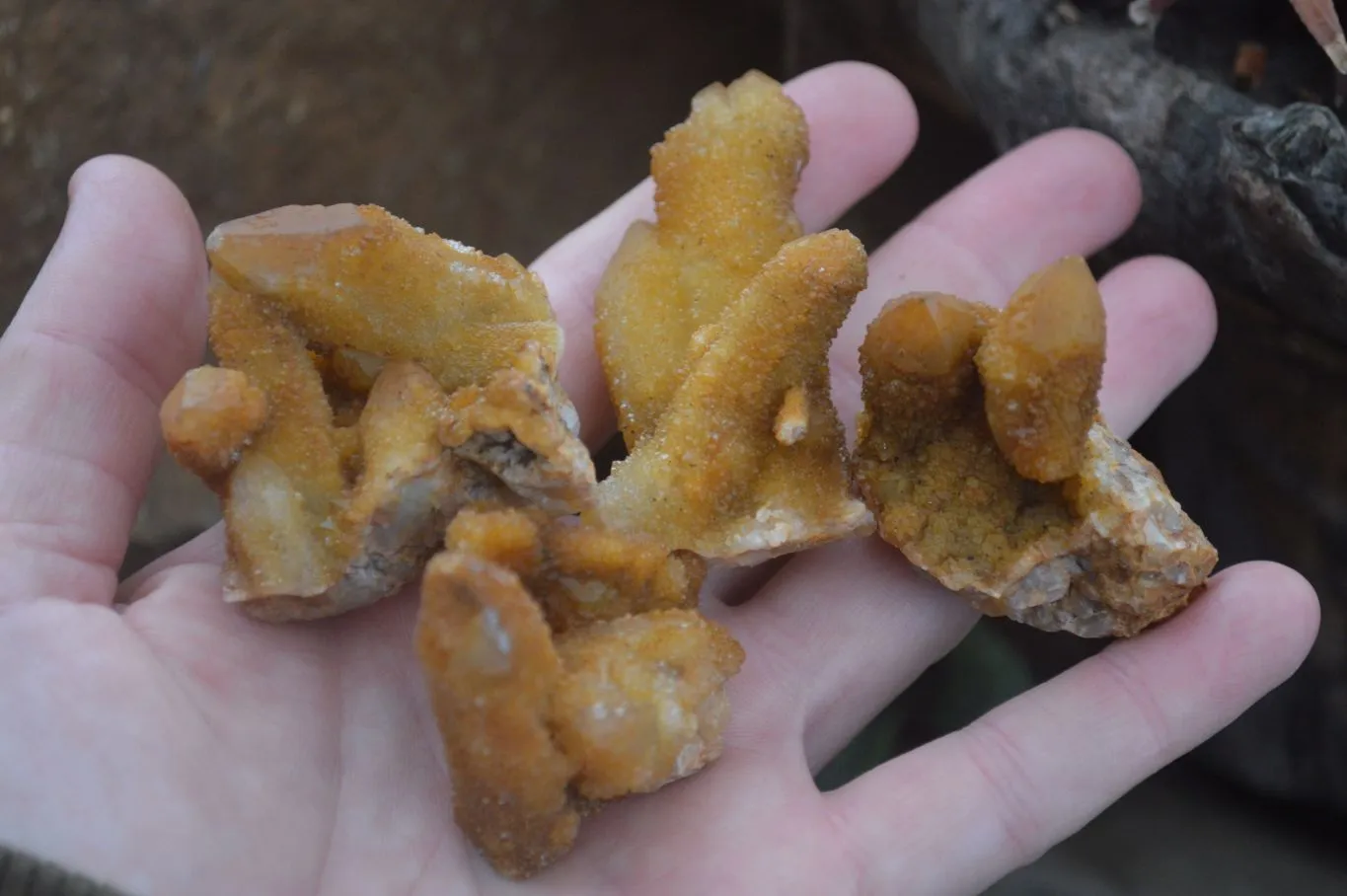 Natural Golden Limonite Solar Spirit Quartz Clusters / Crystals x 35 From Boekenhouthoek, South Africa