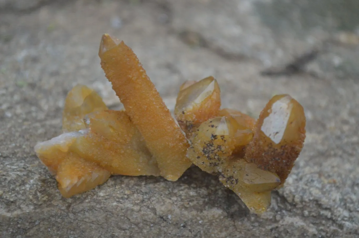 Natural Golden Limonite Solar Spirit Quartz Clusters / Crystals x 35 From Boekenhouthoek, South Africa