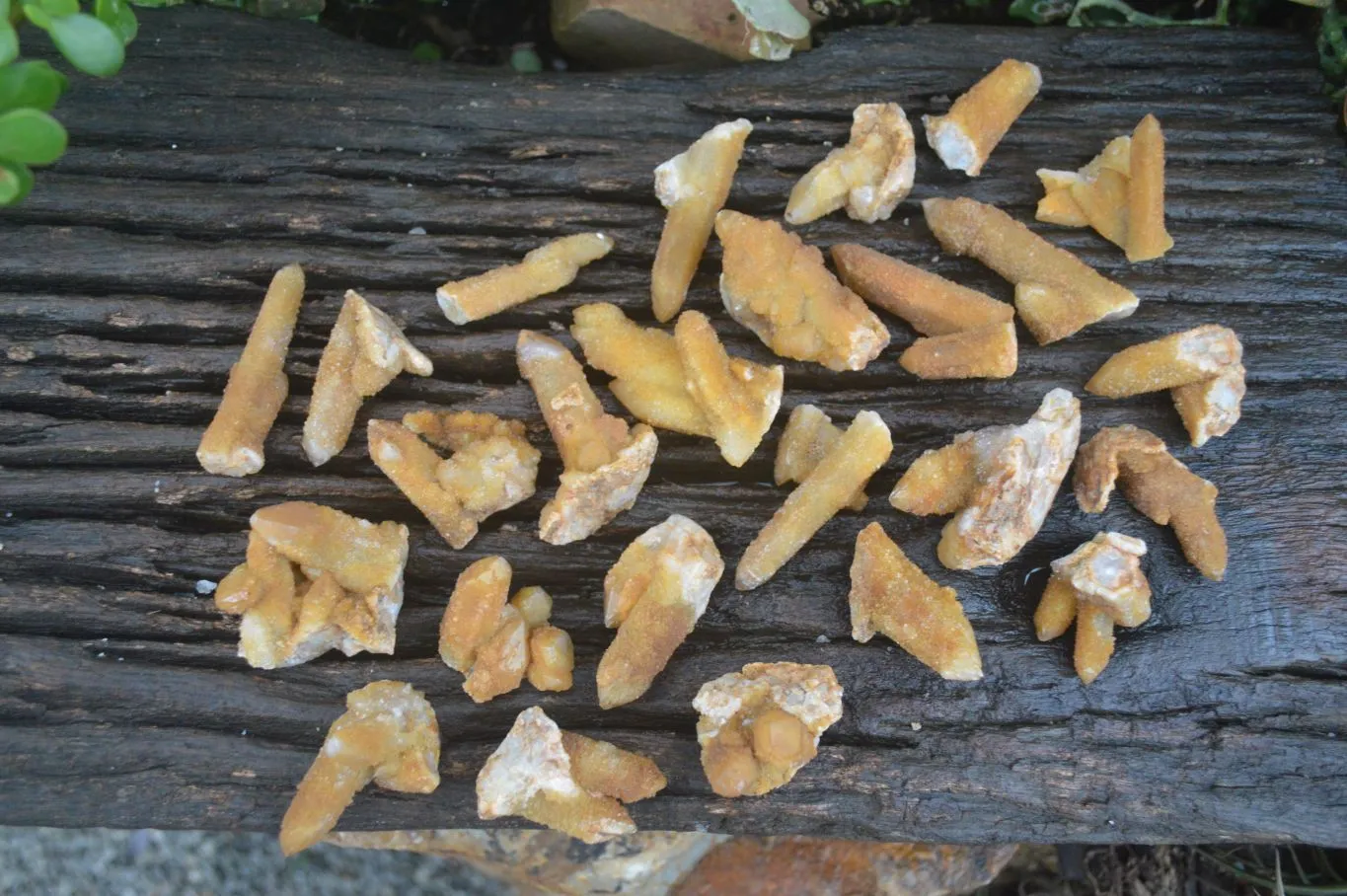 Natural Golden Limonite Solar Spirit Quartz Clusters / Crystals x 35 From Boekenhouthoek, South Africa