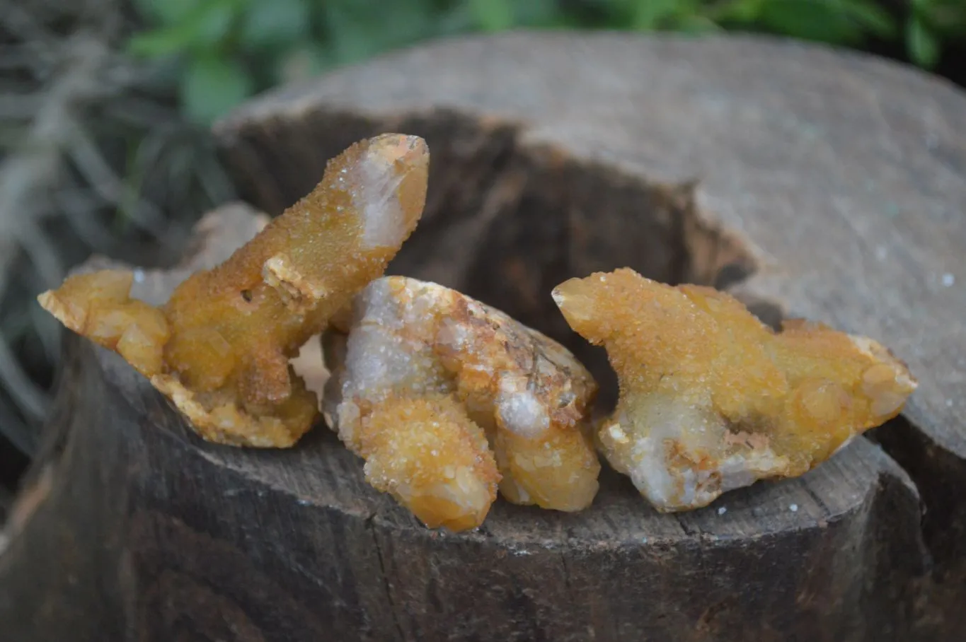 Natural Golden Limonite Solar Spirit Quartz Clusters / Crystals x 35 From Boekenhouthoek, South Africa