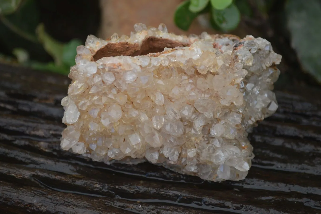 Natural Limonite Quartz Clusters x 13 From Mwinilunga, Zambia