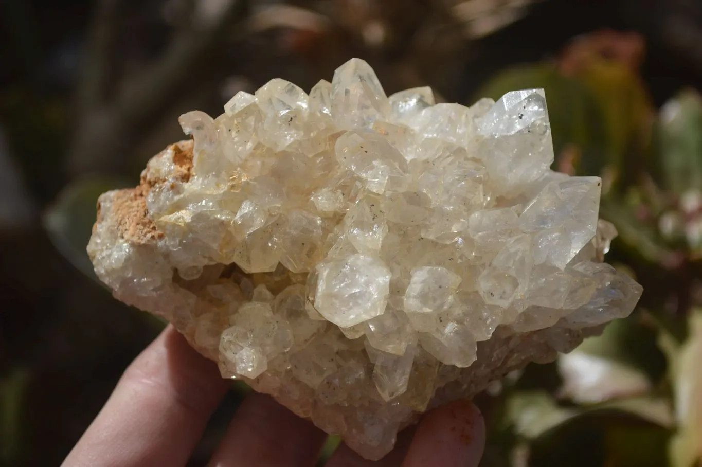 Natural Limonite Quartz Clusters x 13 From Mwinilunga, Zambia