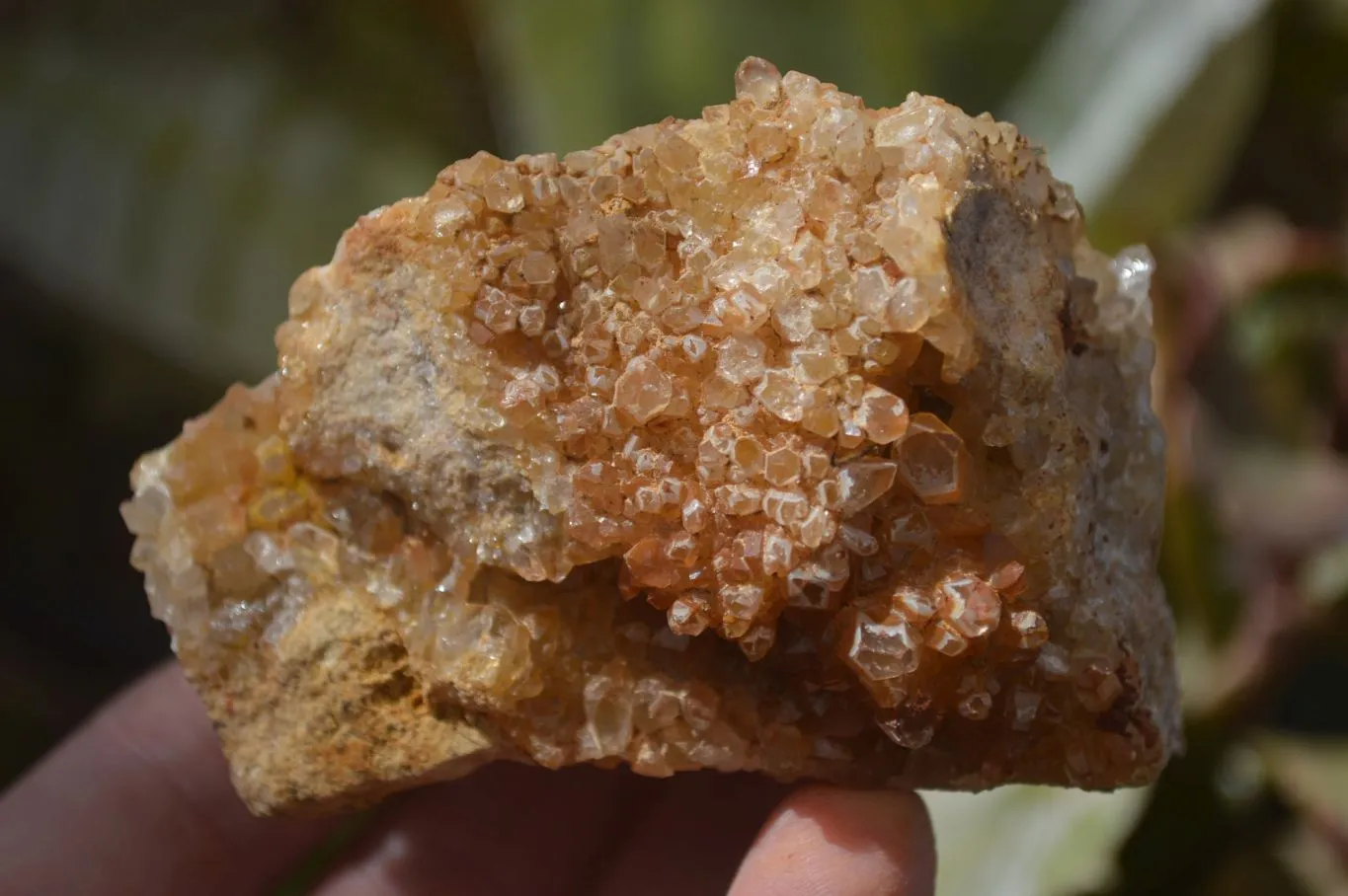 Natural Limonite Quartz Clusters x 13 From Mwinilunga, Zambia