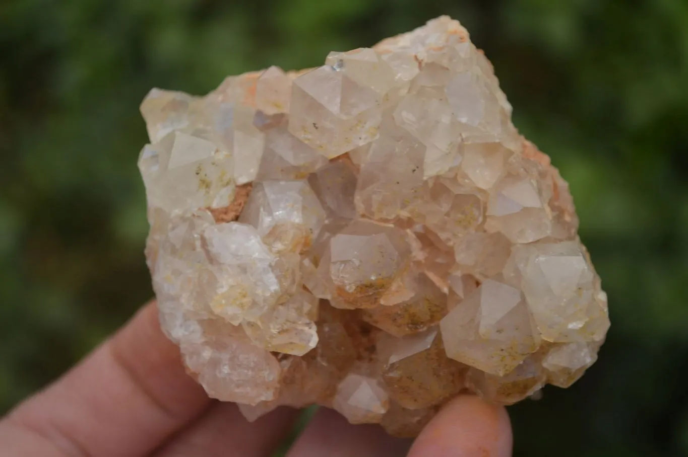 Natural Limonite Quartz Clusters x 13 From Mwinilunga, Zambia