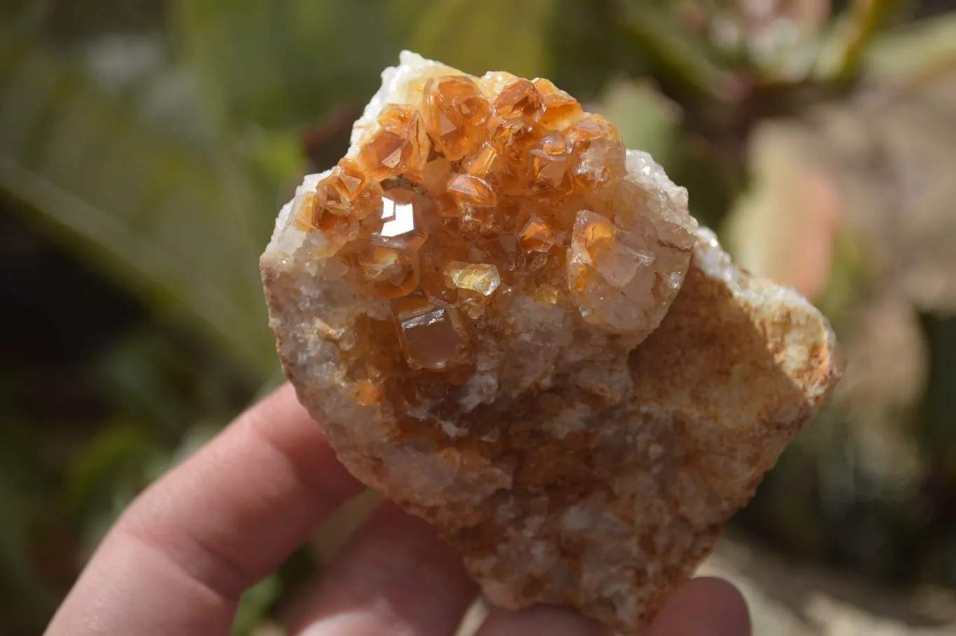 Natural Limonite Quartz Clusters x 13 From Mwinilunga, Zambia