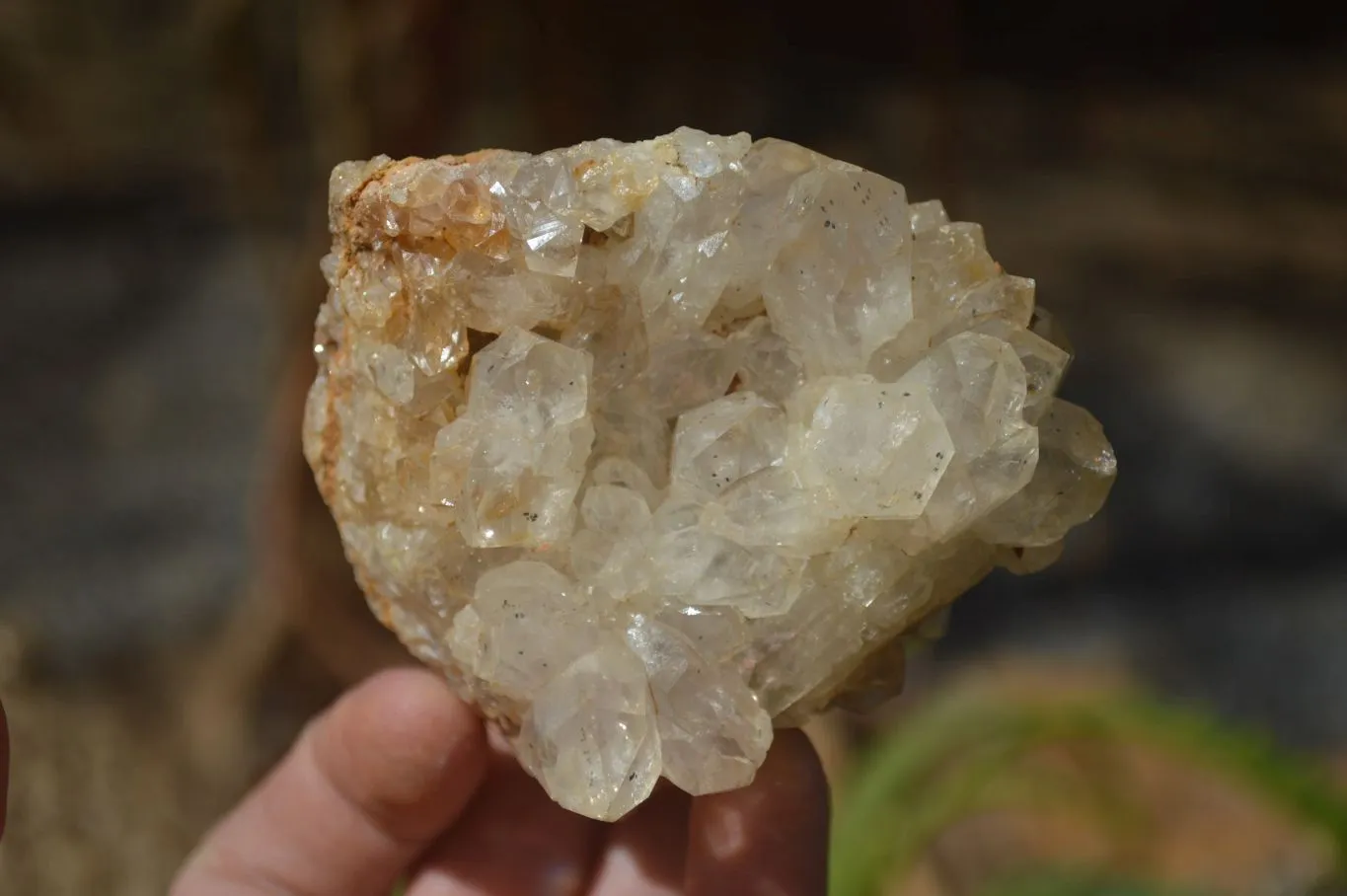 Natural Limonite Quartz Clusters x 13 From Mwinilunga, Zambia