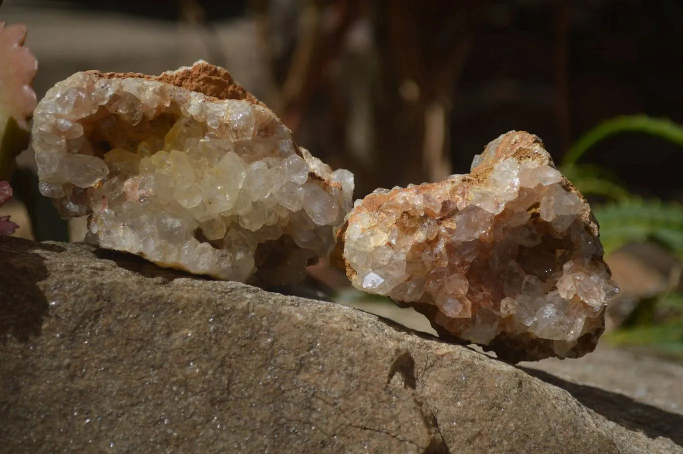 Natural Limonite Quartz Clusters x 13 From Mwinilunga, Zambia