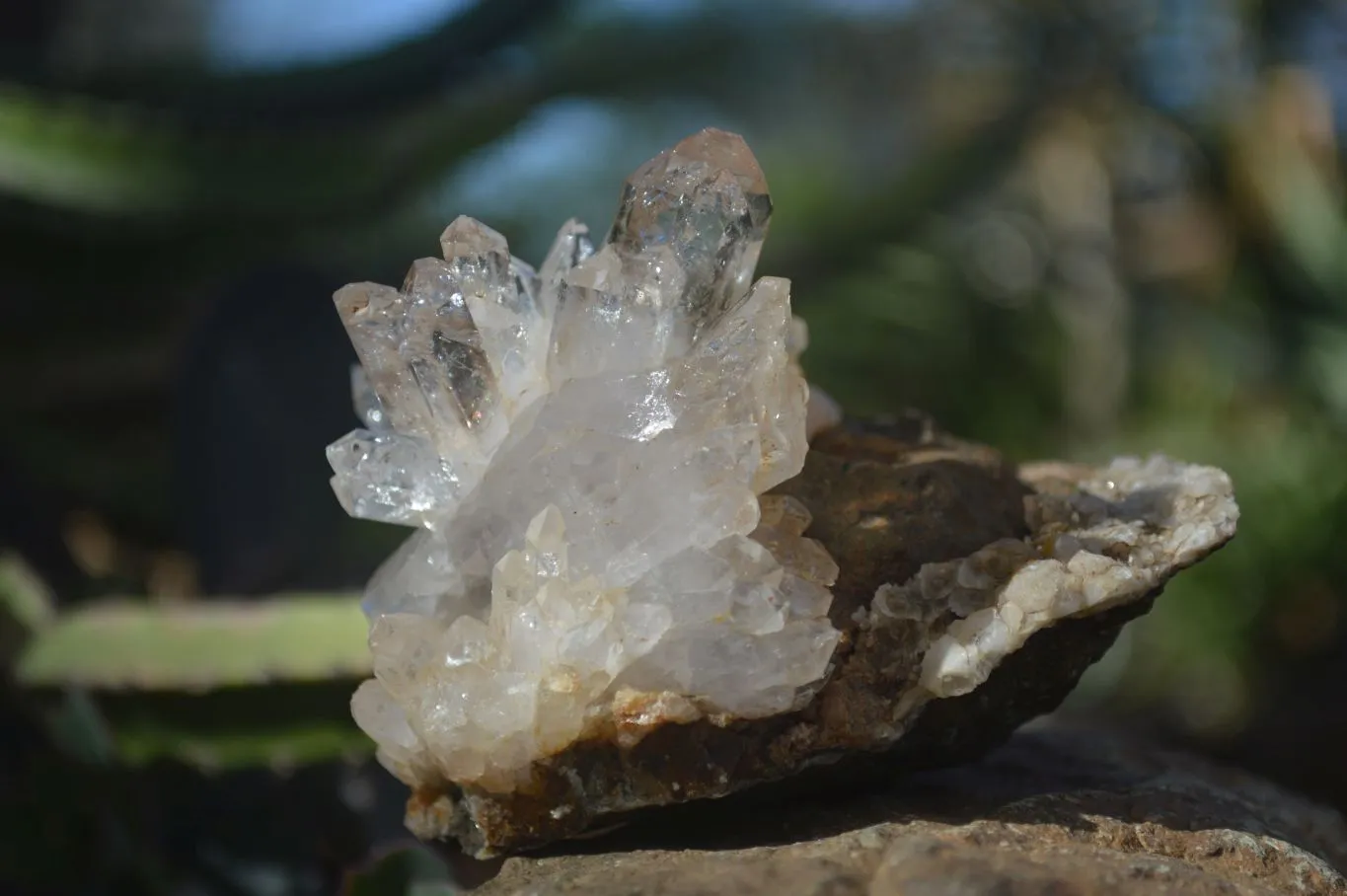 Natural Mixed Brandberg Quartz Matrix Specimens x 3 From Brandberg, Namibia