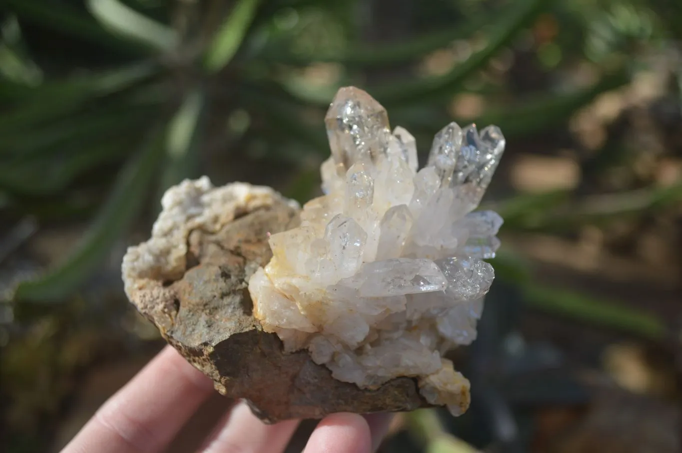 Natural Mixed Brandberg Quartz Matrix Specimens x 3 From Brandberg, Namibia