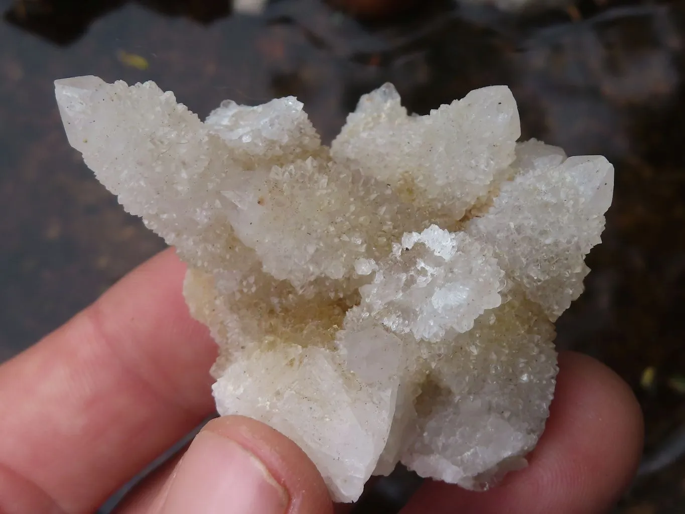 Natural Mixed Selection Of Mini Spirit Quartz Clusters x 35 From Boekenhouthoek, South Africa