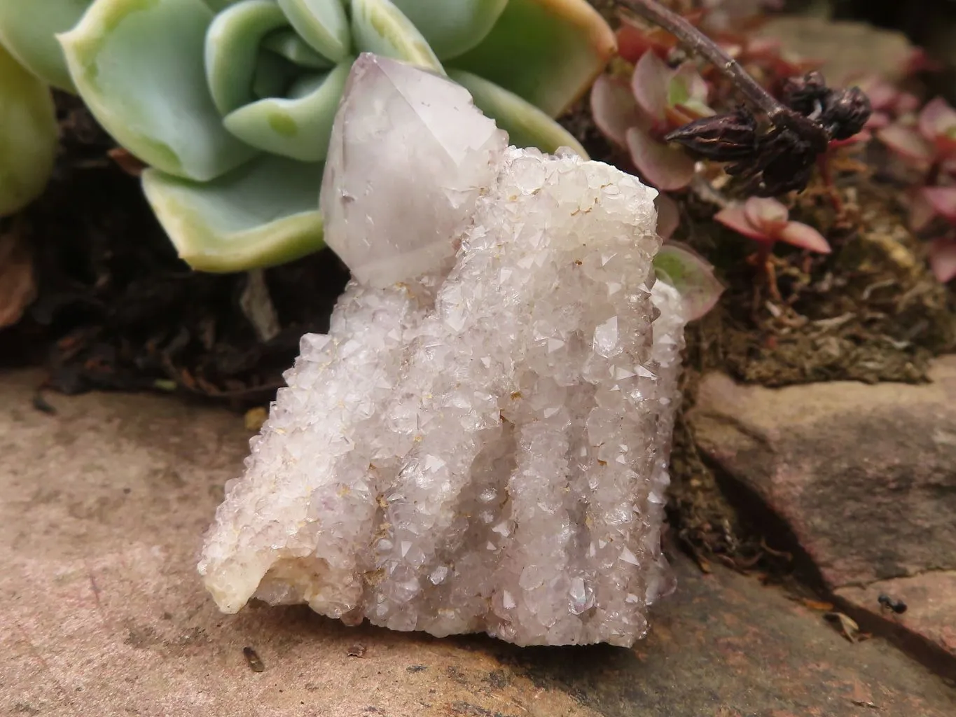 Natural Mixed Selection Of Mini Spirit Quartz Clusters x 35 From Boekenhouthoek, South Africa