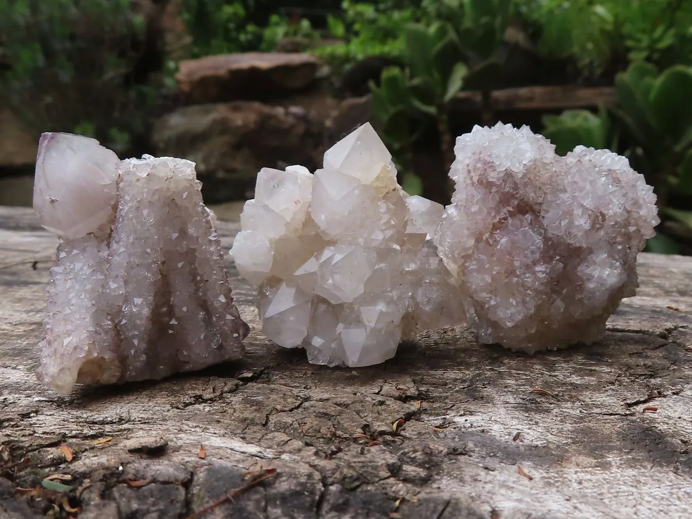 Natural Mixed Selection Of Mini Spirit Quartz Clusters x 35 From Boekenhouthoek, South Africa