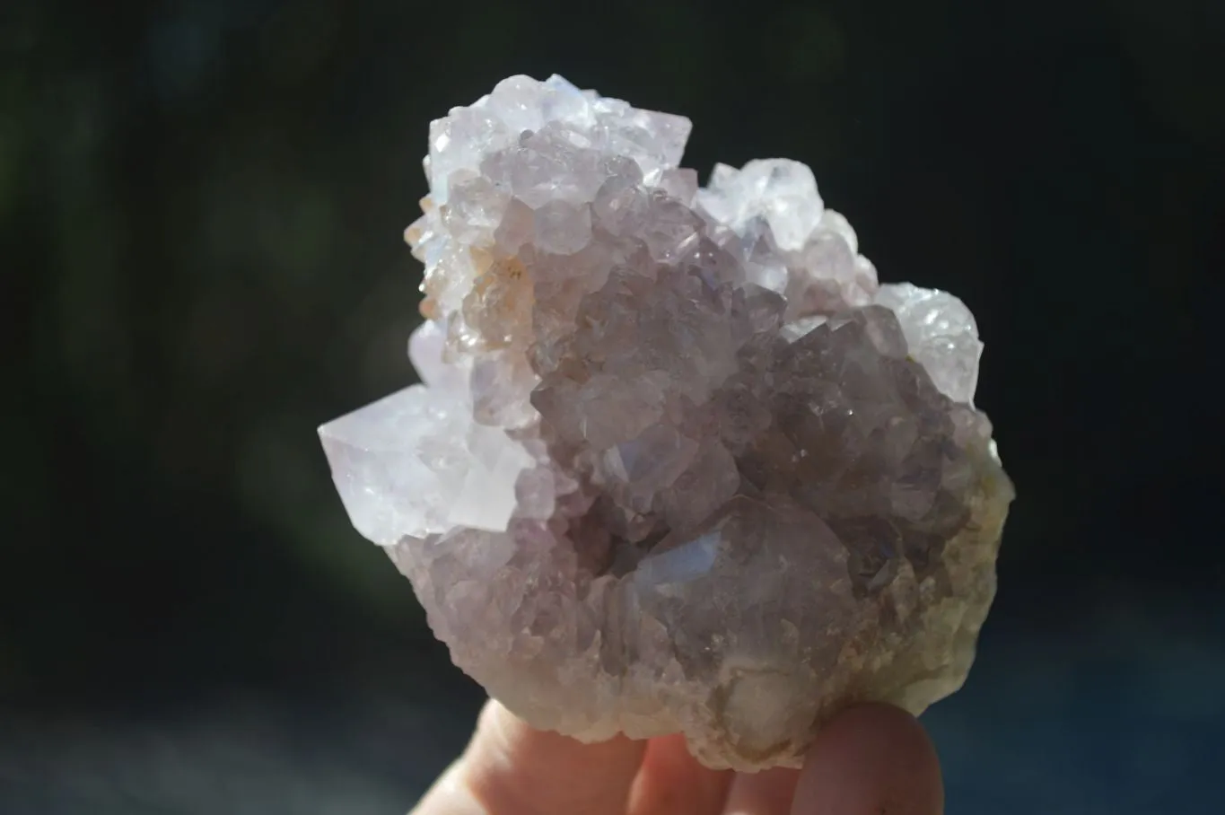 Natural Mixed Spirit Amethyst Quartz Clusters x 6 From Boekenhouthoek, South Africa