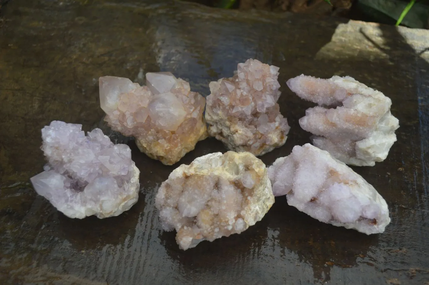 Natural Mixed Spirit Amethyst Quartz Clusters x 6 From Boekenhouthoek, South Africa