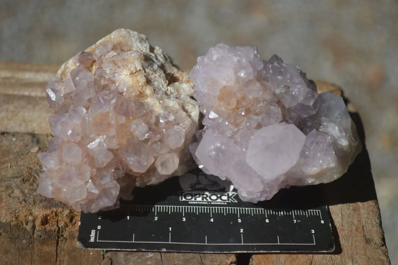 Natural Mixed Spirit Amethyst Quartz Clusters x 6 From Boekenhouthoek, South Africa