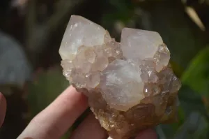 Natural Mixed Spirit Amethyst Quartz Clusters x 6 From Boekenhouthoek, South Africa