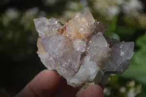 Natural Pale Lilac Spirit Quartz Clusters x 12 From Boekenhouthoek, South Africa