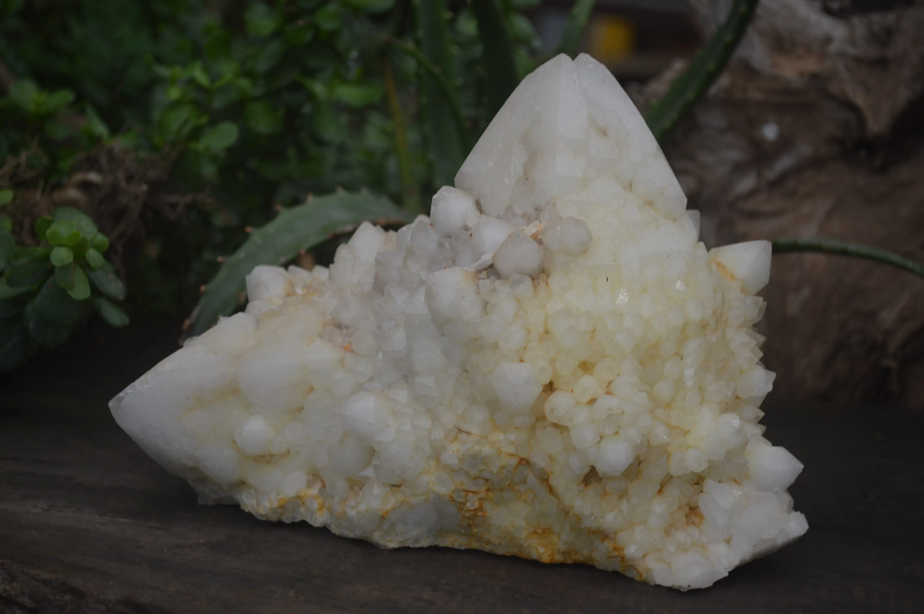 Natural Pineapple Candle Quartz Cluster x 1 From Antsirabe, Madagascar