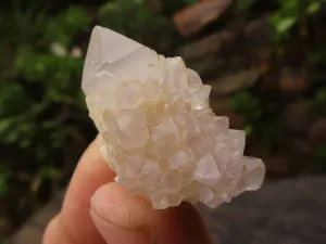 Natural Small Mixed Spirit Quartz Crystals x 63 From Boekenhouthoek, South Africa