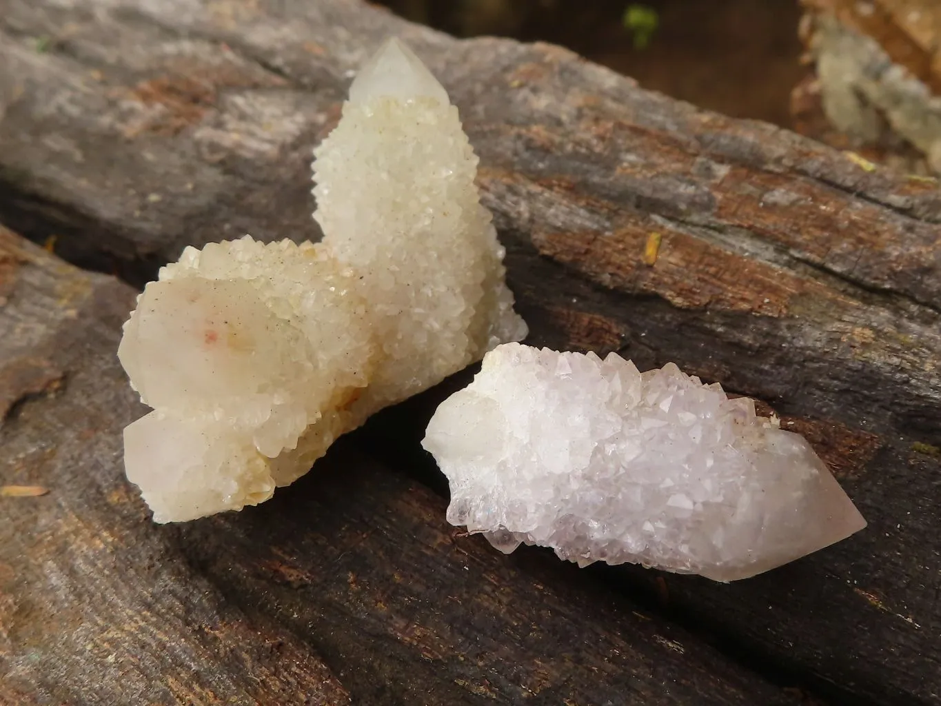 Natural Small Mixed Spirit Quartz Crystals x 63 From Boekenhouthoek, South Africa