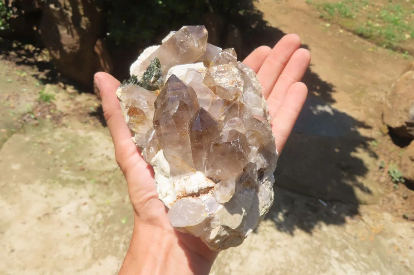 Natural Smokey Quartz On Aegirine Specimens x 2 From Malawi