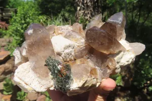 Natural Smokey Quartz On Aegirine Specimens x 2 From Malawi