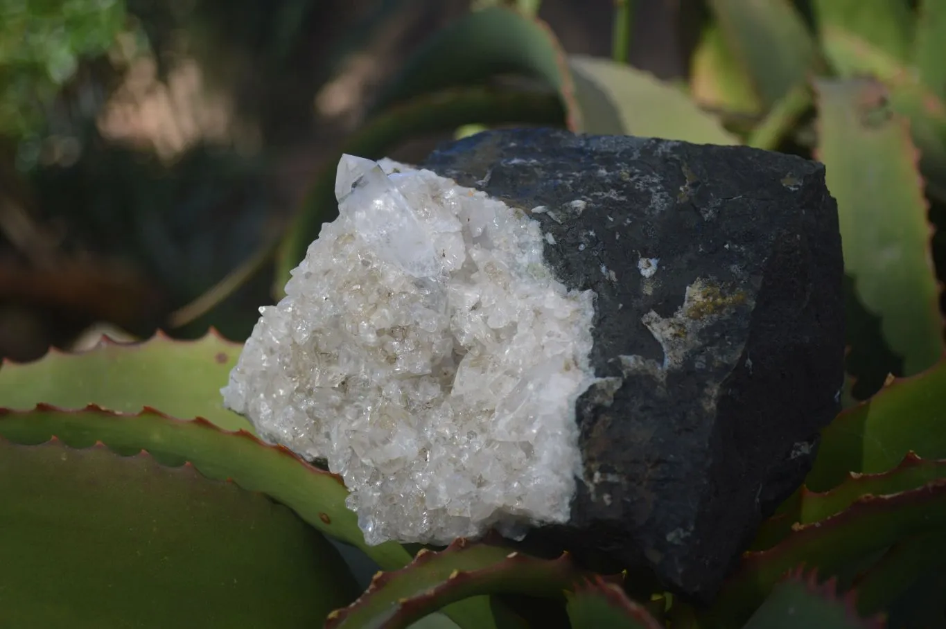 Natural Stunning Brandberg Quartz Matrix Specimens x 2 From Brandberg, Namibia