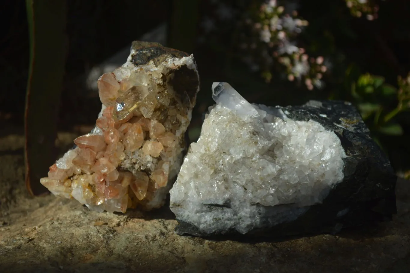 Natural Stunning Brandberg Quartz Matrix Specimens x 2 From Brandberg, Namibia