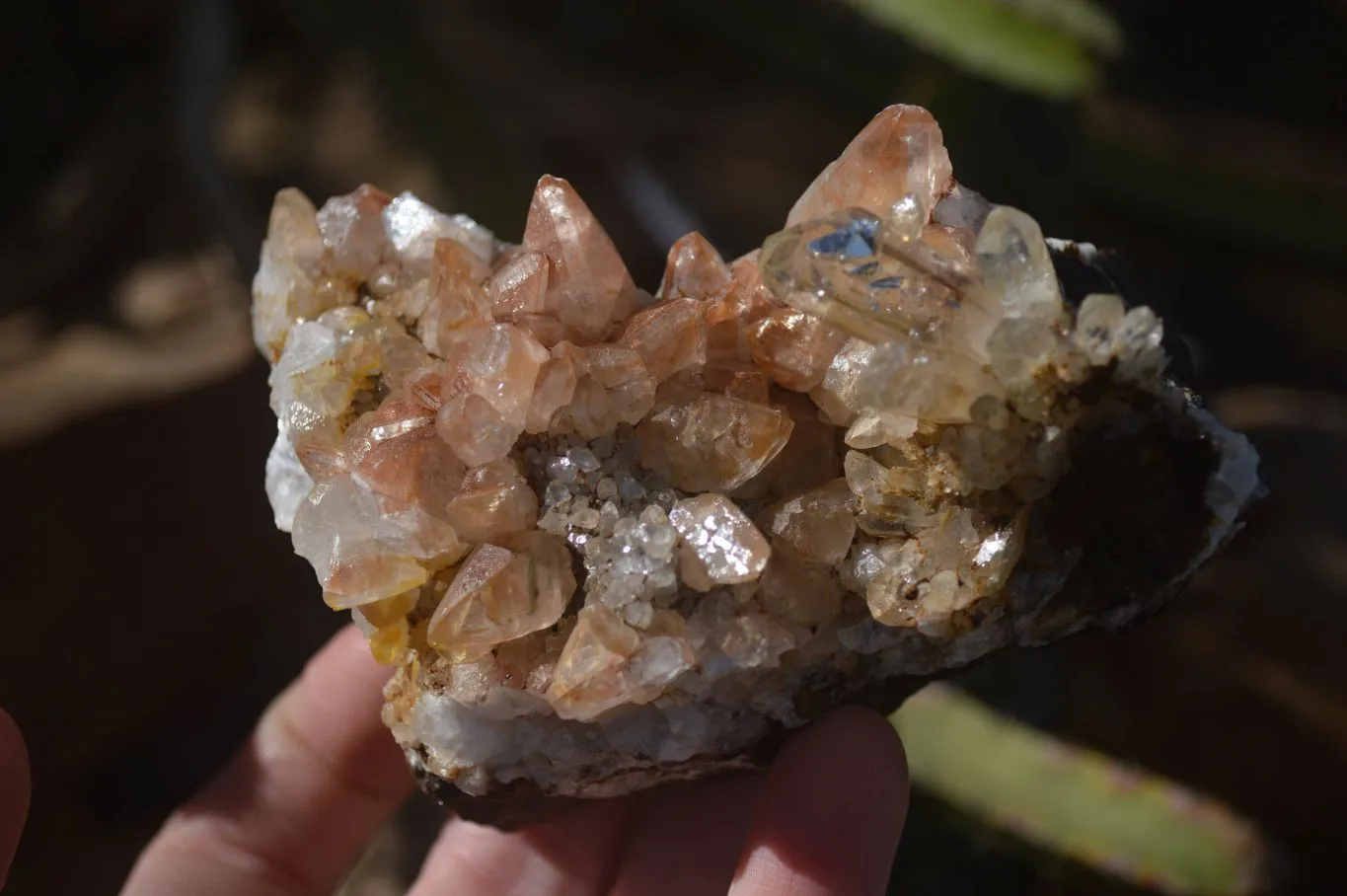 Natural Stunning Brandberg Quartz Matrix Specimens x 2 From Brandberg, Namibia