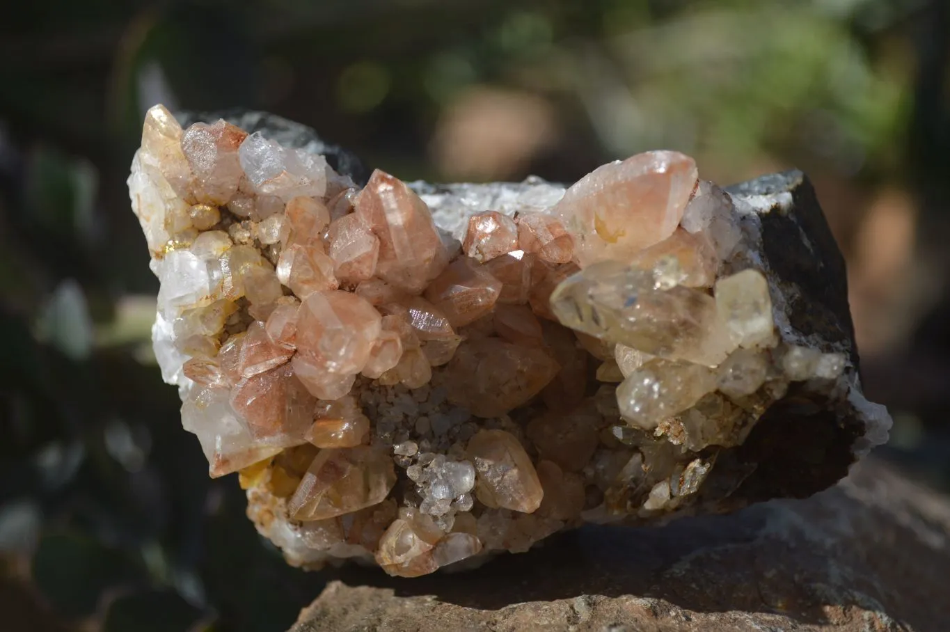 Natural Stunning Brandberg Quartz Matrix Specimens x 2 From Brandberg, Namibia