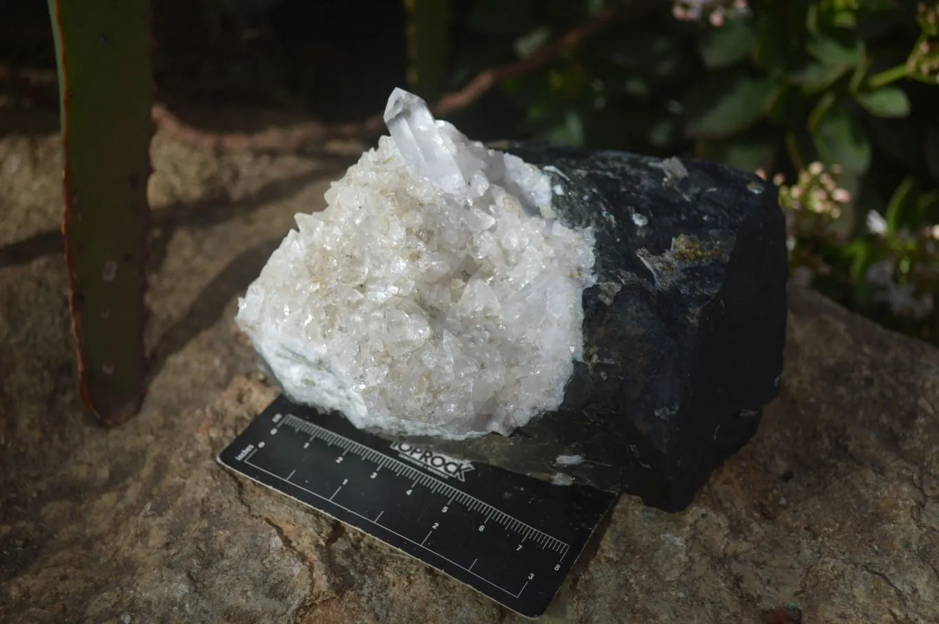 Natural Stunning Brandberg Quartz Matrix Specimens x 2 From Brandberg, Namibia