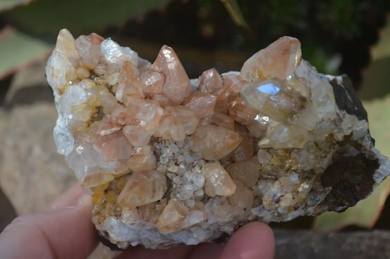 Natural Stunning Brandberg Quartz Matrix Specimens x 2 From Brandberg, Namibia