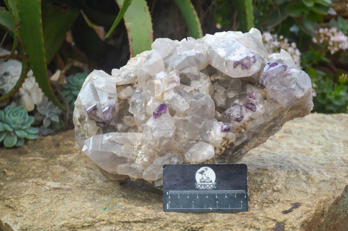 Natural XXL Unusual Brandberg Amethyst Crystal Cluster x 1 From Brandberg, Namibia