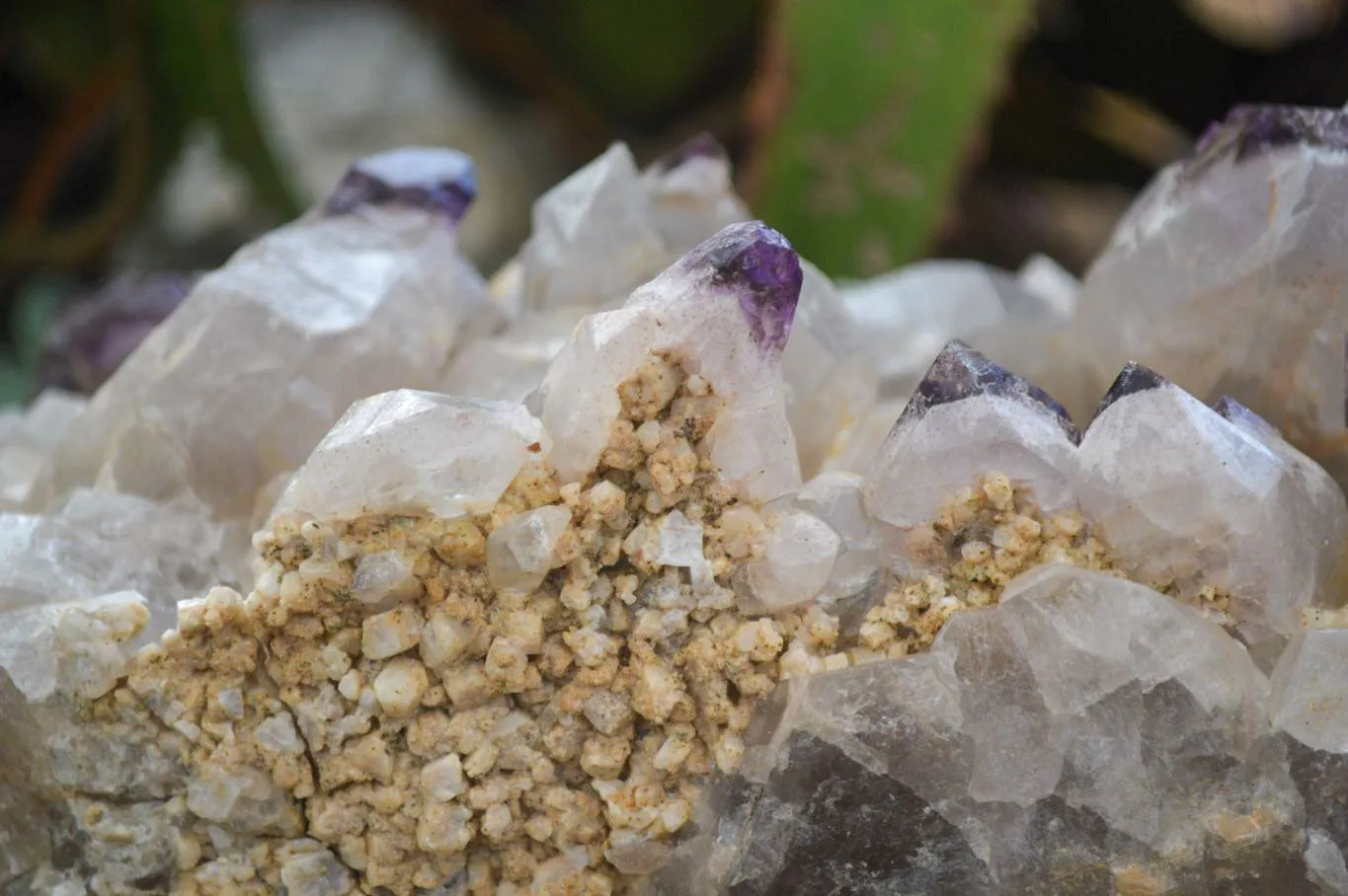 Natural XXL Unusual Brandberg Amethyst Crystal Cluster x 1 From Brandberg, Namibia