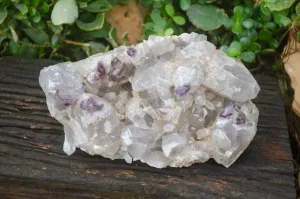 Natural XXL Unusual Brandberg Amethyst Crystal Cluster x 1 From Brandberg, Namibia