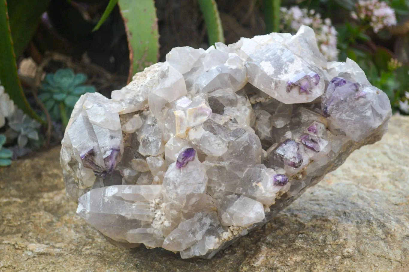 Natural XXL Unusual Brandberg Amethyst Crystal Cluster x 1 From Brandberg, Namibia