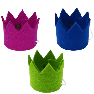 Party Beast Crown