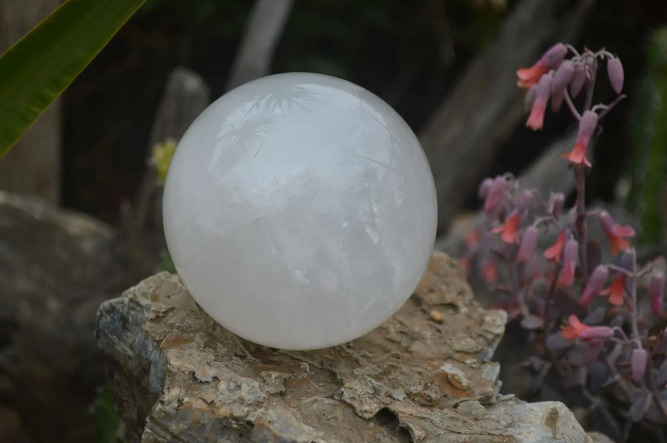 Polished Extra Large Girasol Pearl Quartz Ball  x 1 From Madagascar