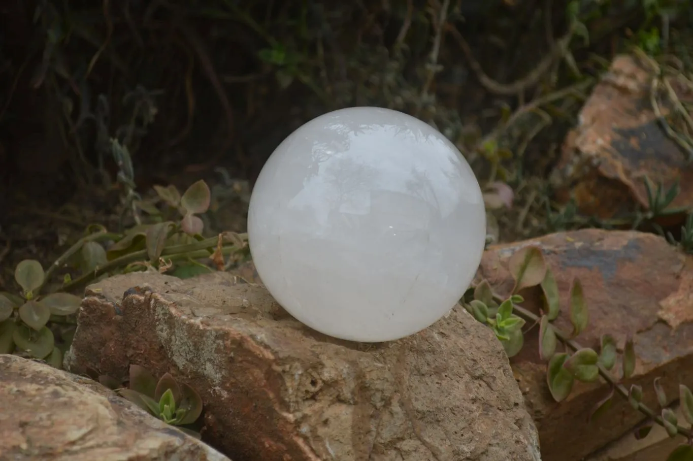 Polished Extra Large Girasol Pearl Quartz Ball  x 1 From Madagascar