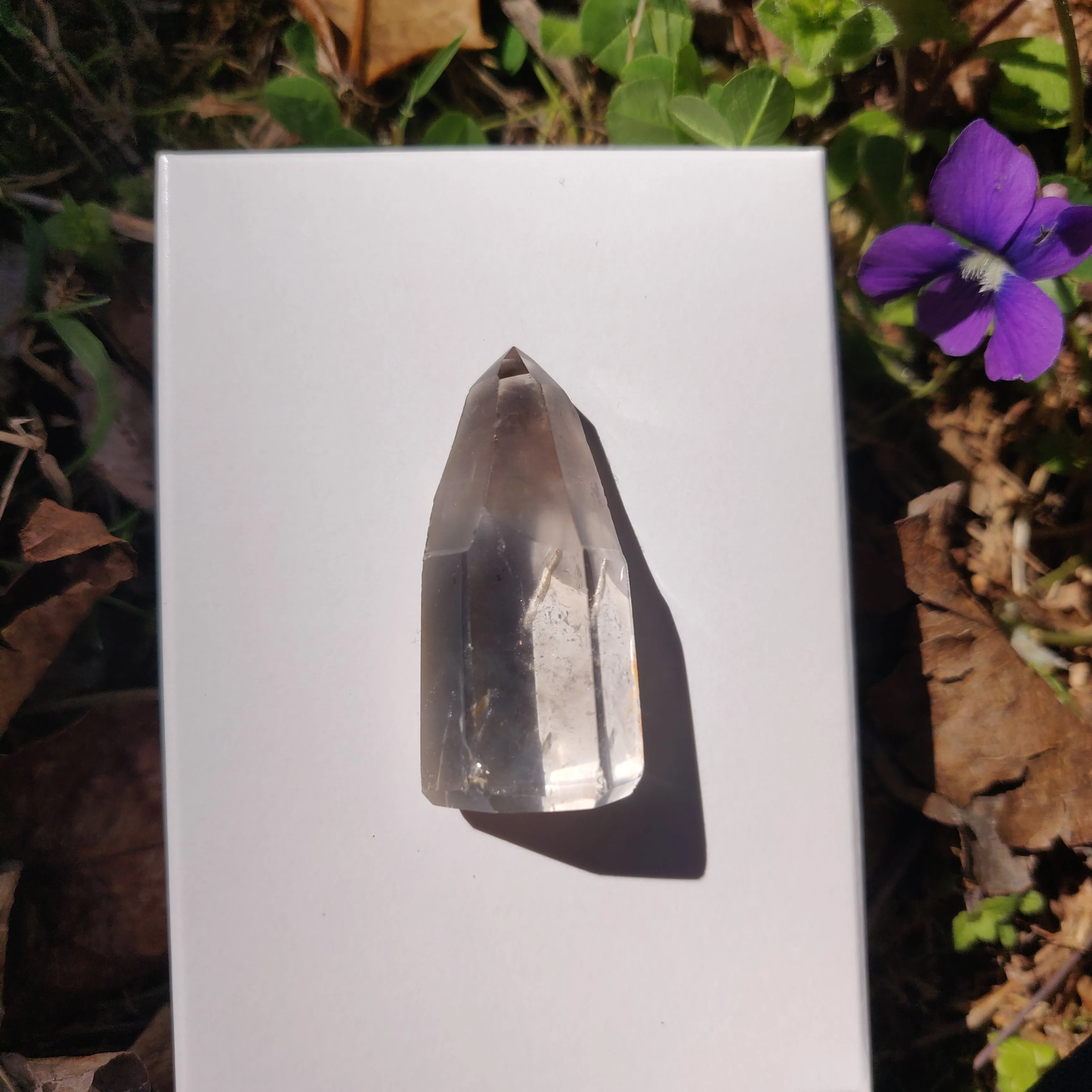 Smoky Garden Quartz Point, Lodolite Point (#9G)